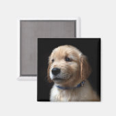 Niedliche Kleintiere | Golden Retriever Puppy Magnet (Vorderseite/Rückseite)