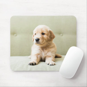 Niedliche Kleintiere   Golden Retriever Puppy Mousepad