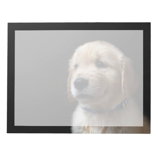 Niedliche Kleintiere | Golden Retriever Puppy Notizblock (Vorderseite)