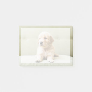 Niedliche Kleintiere Golden Retriever Puppy Post-it Klebezettel