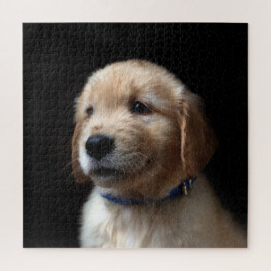 Niedliche Kleintiere   Golden Retriever Puppy Puzzle