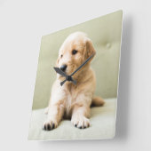 Niedliche Kleintiere | Golden Retriever Puppy Quadratische Wanduhr (Winkel)