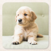 Niedliche Kleintiere | Golden Retriever Puppy Rechteckiger Pappuntersetzer (Vorderseite)