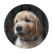 Niedliche Kleintiere | Golden Retriever Puppy Schneidebrett (Vorderseite)