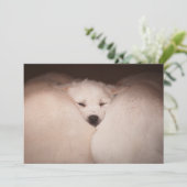 Niedliche Kleintiere | Golden Retriever Snuggg Dankeskarte (Stehend Vorderseite)