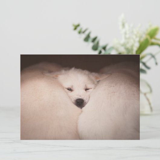 Niedliche Kleintiere | Golden Retriever Snuggg Dankeskarte (Stehend Vorderseite)