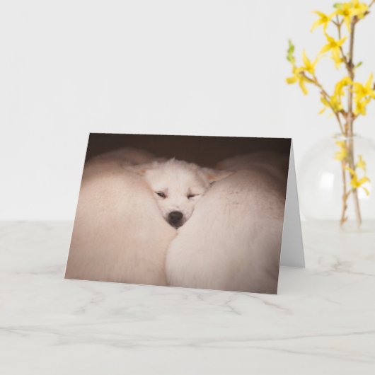 Niedliche Kleintiere | Golden Retriever Snuggg Karte (Gelbe Blume)