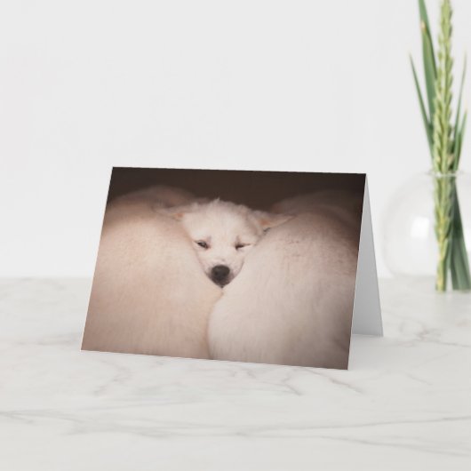 Niedliche Kleintiere | Golden Retriever Snuggg Karte (Vorderseite)