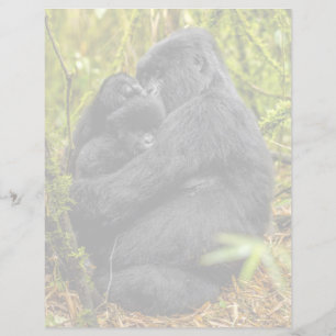 Niedliche Kleintiere   Gorilla & Baby