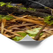 Niedliche Kleintiere | Gorilla & Baby Poster (Ecke)