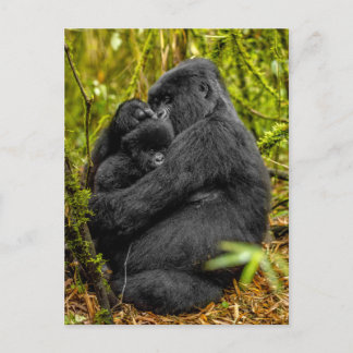 Niedliche Kleintiere | Gorilla & Baby Postkarte