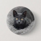 Niedliche Kleintiere | Graue Katze Button (Vorderseite)