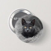 Niedliche Kleintiere | Graue Katze Button (Vorne & Hinten)