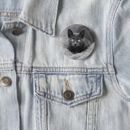 Niedliche Kleintiere | Graue Katze Button (Beispiel)
