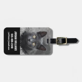 Niedliche Kleintiere | Graue Katze Gepäckanhänger (Vorderseite horizontal)