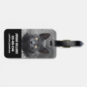 Niedliche Kleintiere | Graue Katze Gepäckanhänger (Rückseite horizontal)