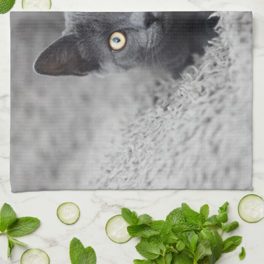 Niedliche Kleintiere | Graue Katze Geschirrtuch (Gefaltet)