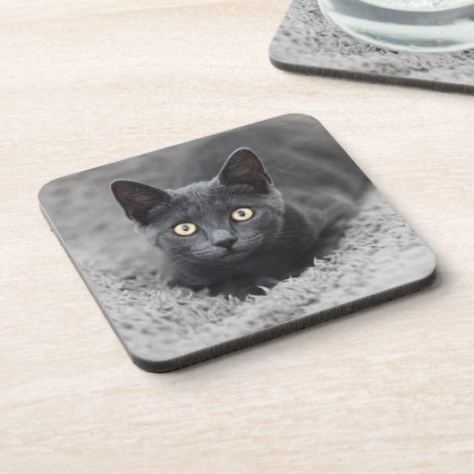 Niedliche Kleintiere | Graue Katze Getränkeuntersetzer (Linke Seite)