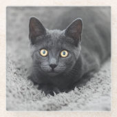 Niedliche Kleintiere | Graue Katze Glasuntersetzer (Vorderseite)