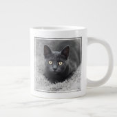 Niedliche Kleintiere | Graue Katze Jumbo-Tasse (Rechts)