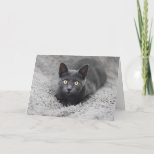 Niedliche Kleintiere Graue Katze Karte