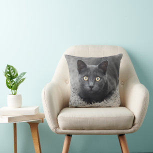 Niedliche Kleintiere Graue Katze Kissen