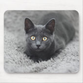 Niedliche Kleintiere | Graue Katze Mousepad (Vorne)