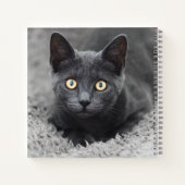 Niedliche Kleintiere | Graue Katze Notizblock (Rückseite)