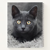 Niedliche Kleintiere | Graue Katze Notizblock (Rückseite)