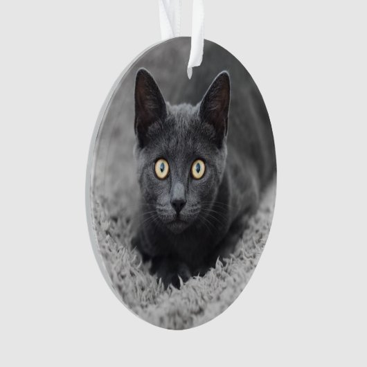 Niedliche Kleintiere | Graue Katze Ornament (Vorderseite)