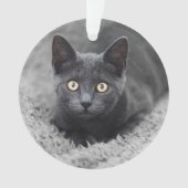 Niedliche Kleintiere | Graue Katze Ornament (Vorderseite)