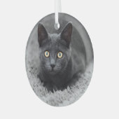 Niedliche Kleintiere | Graue Katze Ornament Aus Glas (Vorderseite links)