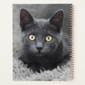 Niedliche Kleintiere | Graue Katze Planer (Rückseite)