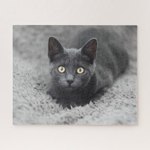 Niedliche Kleintiere Graue Katze Puzzle