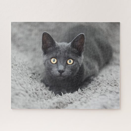 Niedliche Kleintiere | Graue Katze Puzzle (Horizontal)