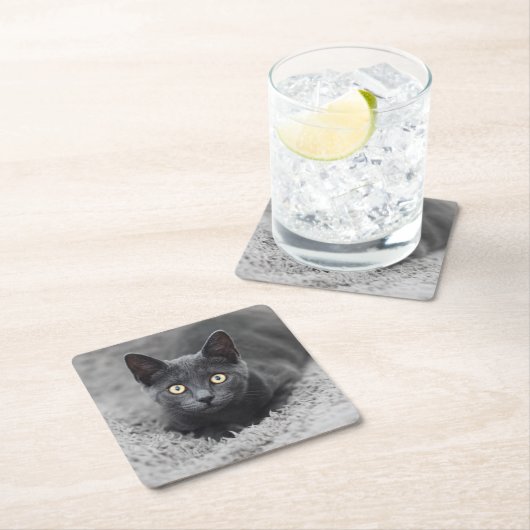 Niedliche Kleintiere | Graue Katze Rechteckiger Pappuntersetzer (Vor Ort)