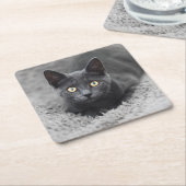 Niedliche Kleintiere | Graue Katze Rechteckiger Pappuntersetzer (angewinkelt)