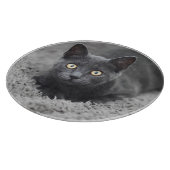 Niedliche Kleintiere | Graue Katze Schneidebrett (Ecke)