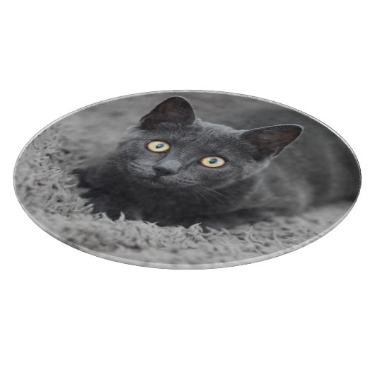 Niedliche Kleintiere | Graue Katze Schneidebrett (Ecke)