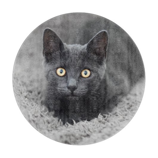Niedliche Kleintiere | Graue Katze Schneidebrett (Vorderseite)