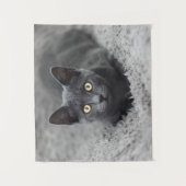 Niedliche Kleintiere | Graue Katze Wandteppich (Vorderseite)