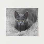 Niedliche Kleintiere | Graue Katze Wandteppich (Vorderseite (Horizontal))