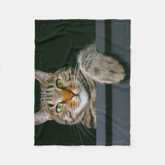 Niedliche Kleintiere | Grey Tabby Cat Face Fleecedecke (Vorderseite)