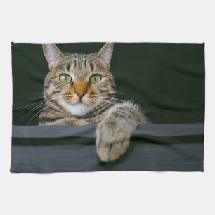 Niedliche Kleintiere   Grey Tabby Cat Face Geschirrtuch