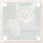 Niedliche Kleintiere | Grey Tabby Cat Face Glasuntersetzer (Rückseite)