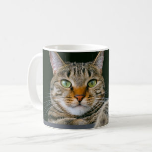 Niedliche Kleintiere   Grey Tabby Cat Face Kaffeetasse