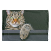 Niedliche Kleintiere | Grey Tabby Cat Face Kissenbezug (Rückseite)