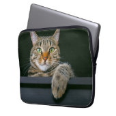 Niedliche Kleintiere | Grey Tabby Cat Face Laptopschutzhülle (Vorderseite Links)