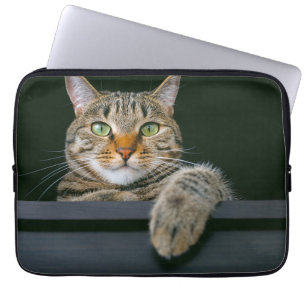 Niedliche Kleintiere Grey Tabby Cat Face Laptopschutzhülle