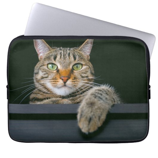 Niedliche Kleintiere | Grey Tabby Cat Face Laptopschutzhülle (Vorderseite)